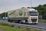 20160101-XF-Euro-6-00166.jpg