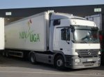 20160101-Actros-2-00136.jpg