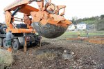 20160101-Baumverpflanzung-00032.jpg