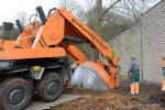 20160101-Baumverpflanzung-00049.jpg