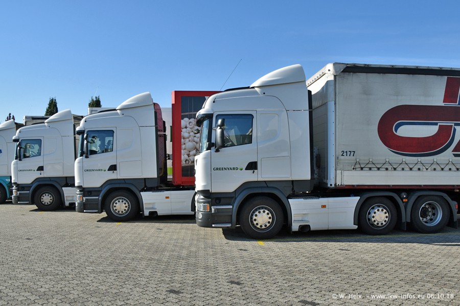 20181006-Daemen-00407.jpg 20181006-Daemen-00407.jpg