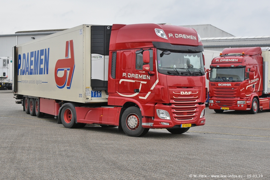 20190309-Daemen-00061.jpg 20190309-Daemen-00061.jpg