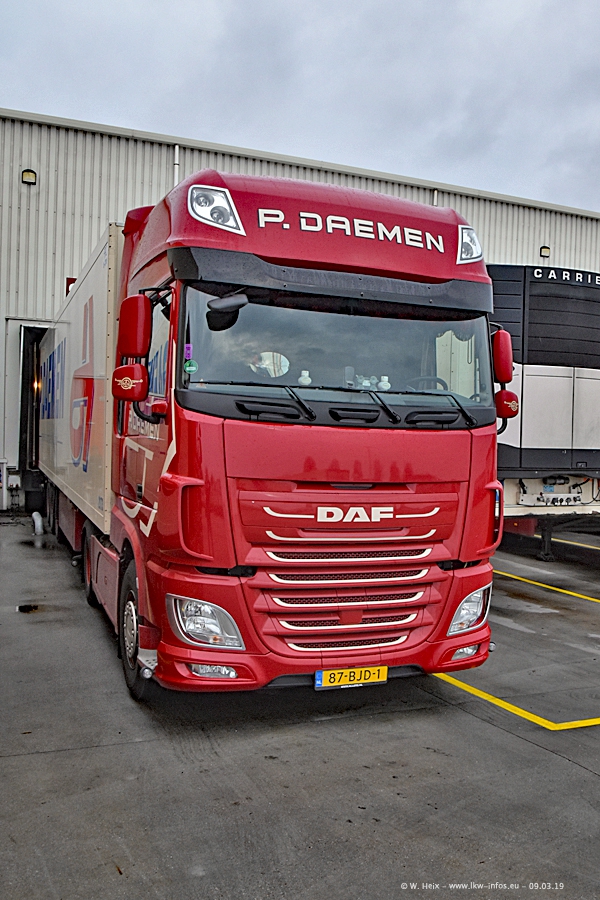 20190309-Daemen-00286.jpg 20190309-Daemen-00286.jpg