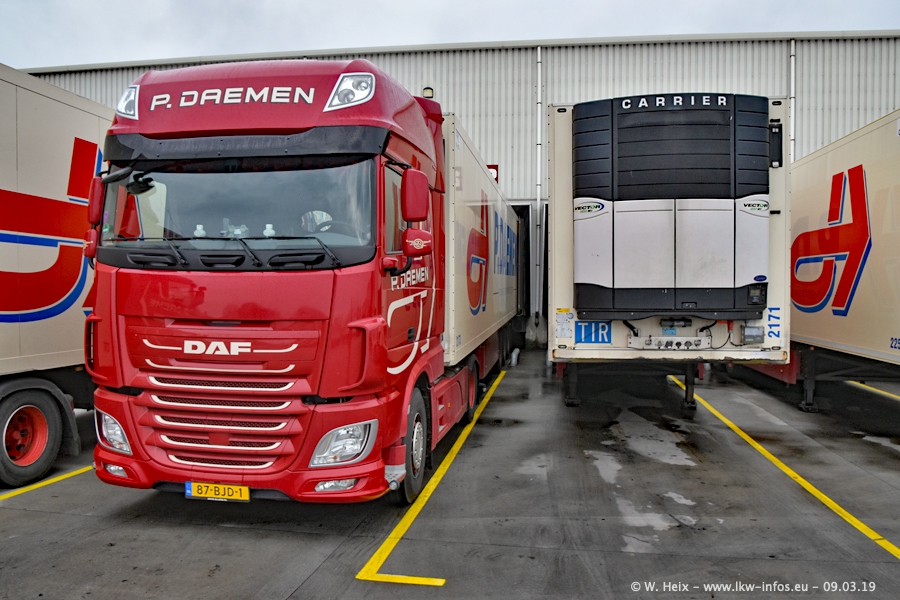 20190309-Daemen-00287.jpg 20190309-Daemen-00287.jpg